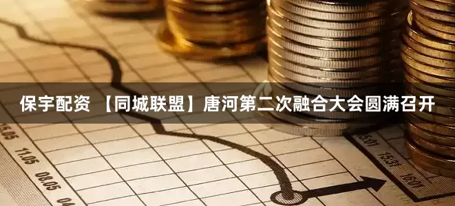 保宇配资 【同城联盟】唐河第二次融合大会圆满召开