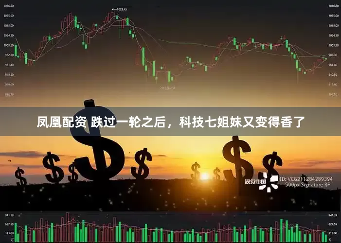 凤凰配资 跌过一轮之后，科技七姐妹又变得香了